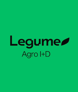 Legume