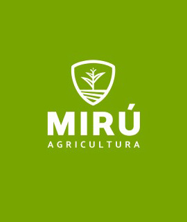 Miru
